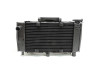 Radiateur Yamaha FZ6