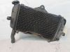 Radiator Yamaha TDM