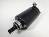 Startmotor Triumph Street Triple 675