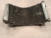 Radiator Suzuki RGV 250