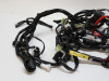 Wire Harness Yamaha XSR 900