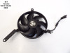 Fan Yamaha YZF R1