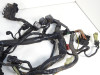 Wire Harness Kawasaki VERSYS 650