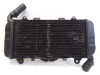 Radiator Yamaha FZ 750