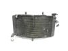 Radiateur Honda CBR 900 RR