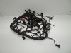 Wire Harness Triumph Sprint RS