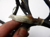 Wire Harness Honda CB 550