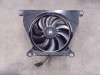 Fan Kawasaki Z 650