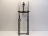 Voorpoten compleet Yamaha XJ 900 S Diversion