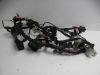 Wire Harness Yamaha FZ6