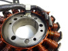 Dynamo Triumph Street Triple 675