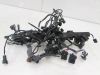 Wire Harness Triumph 675 Street Triple R