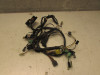 Wire Harness Suzuki GZ 250 Marauder