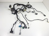 Wire Harness Kawasaki ER 6