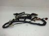 Wire Harness Honda CB 400