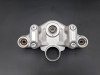 Kroonplaat BMW R 1250 GS