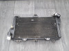Radiator Kawasaki GPZ 900