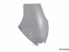 Wind screen Kawasaki GTR 1400