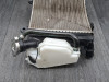 Radiator BMW F 900 XR