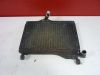 Radiator Yamaha RD 350 LC