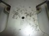 Gepacktrager Suzuki DL 1000 V STROM