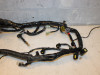 Wire Harness Triumph Sprint RS