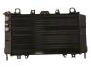 Radiator Yamaha FZR 1000