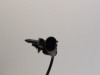 ABS Sensor fuhler vorne Kawasaki 650 Vulcan S