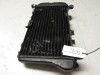 Radiator Kawasaki ZZR 600
