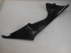 Seiten verkleidung links BMW S 1000 RR