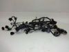 Wire Harness Kawasaki ZX 6 R