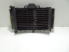 Radiator Yamaha FZ6