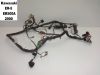 Wire Harness Kawasaki ER 5