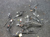 Wire Harness Ducati Multistrada 1200