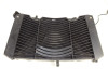 Radiator Yamaha FZ1