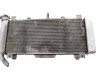Radiateur Kawasaki Ninja 650