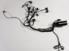 Wire Harness BMW F 800 S - ST