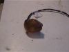 Winker left front Honda CBR 600 F