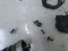 Motorblock Sonstiges Cagiva Overig Cagiva