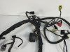 Wire Harness Kawasaki ER 6