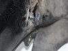 Cowl upper front Buell 1125 R