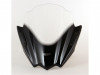 Windscreen BMW R 1150 R