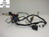 Wire Harness Honda CBR 1100 XX