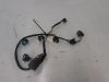 Wire harness front Honda CBR 600 F