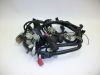 Wire Harness Honda TRANSALP