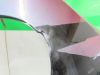 Cowl Left Honda CBR 600 F