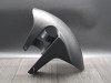 Front fender Aprilia Tuono V4