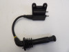 Bobine Triumph Thunderbird 900