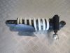 Stossdampfer hinten BMW R Nine T