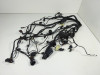 Wire Harness BMW F 800 S - ST